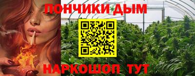 спиды Заводоуковск