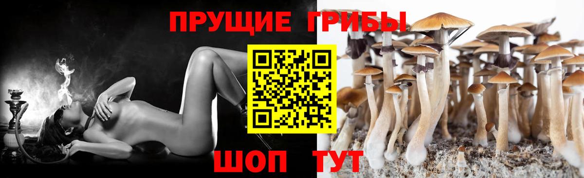 Ливны  закладки  Вход с VPN  Галлюциногенные грибы мухоморы  Псилоцибиновые грибы Magic Shrooms 